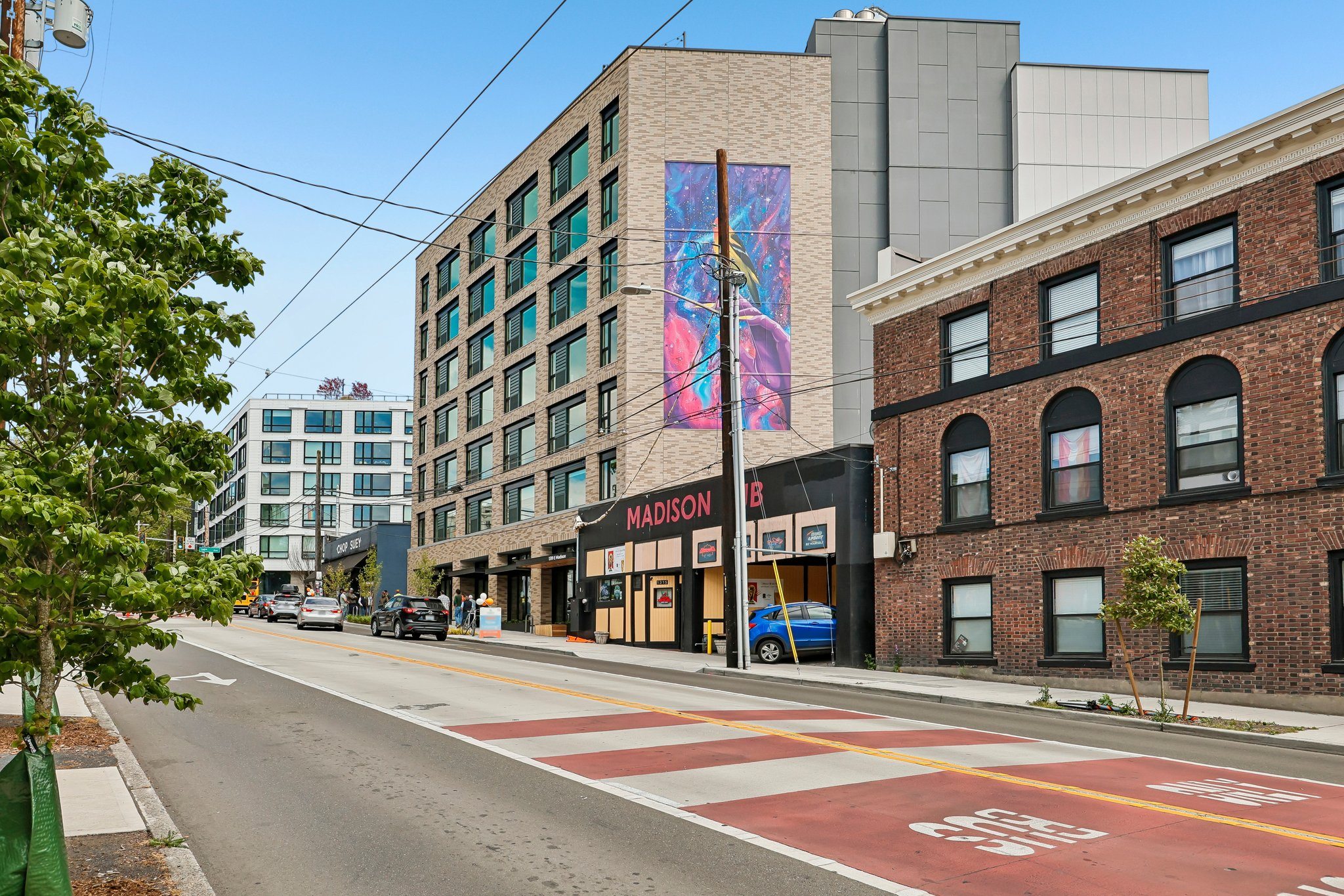 Tanager — image 5